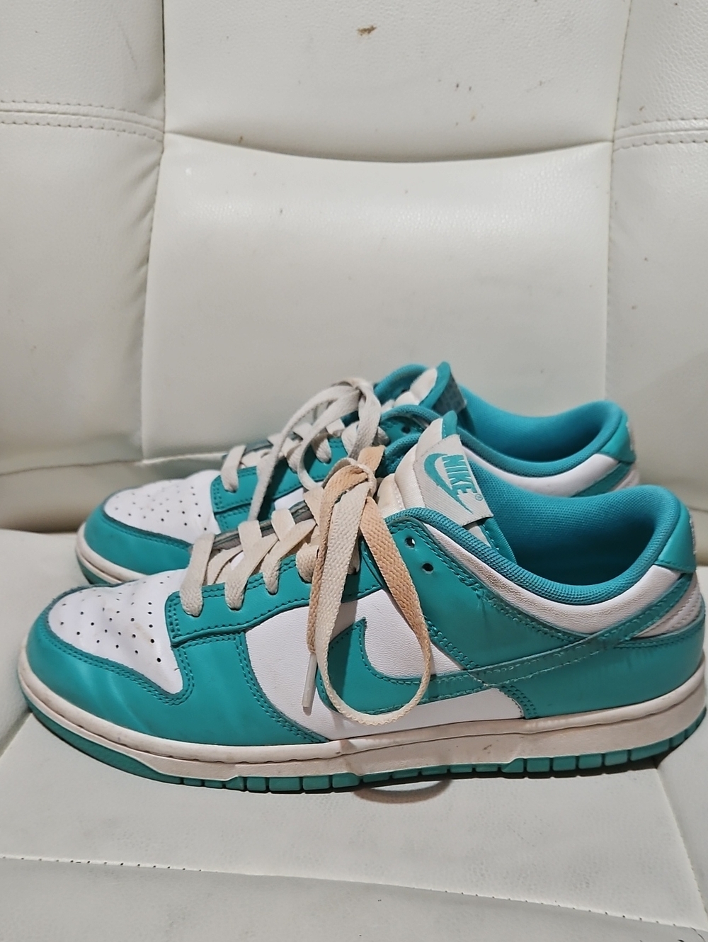 Nike Dunk Teal and White Low-Top Sneakers